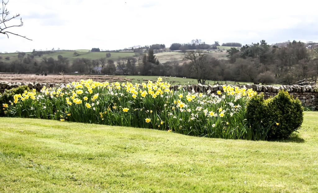 Yellow House West Woodburn Εξωτερικό φωτογραφία