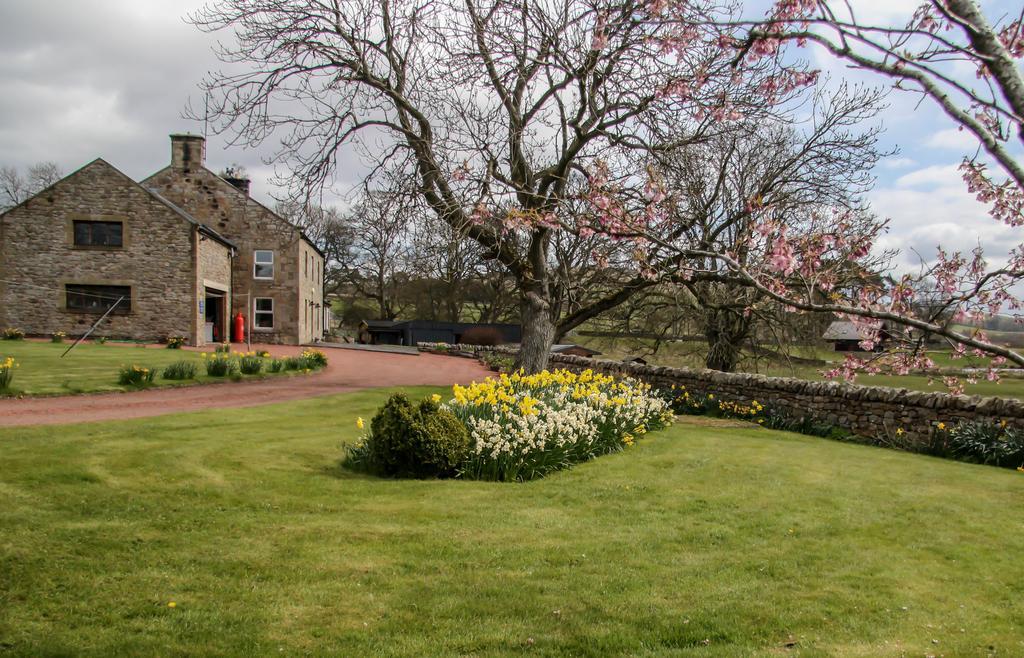 Yellow House West Woodburn Εξωτερικό φωτογραφία